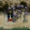Glycine